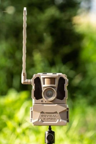 Hunting game with the TACTACAM Reveal X PRO Cellular Trail Camera – designed to deliver high-quality images and videos straight to your device, so you never miss a moment