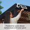 Shine a Light on Your Security with the Ring Spotlight Cam Plus Solar