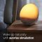 Start Your Day with Radiance: Philips Hue Wake-Up Light with Sunrise Simulation and Headspace Subscription