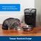 Take the hassle out of feeding time with the Healthy Pet Simply Feed – PetSafe Automatic Feeder