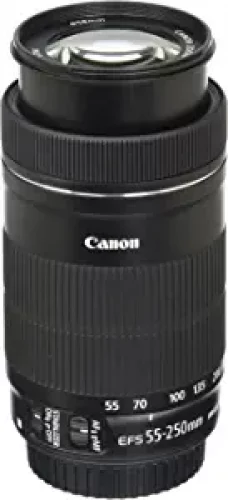 Capture Every Detail: Canon EF-S 55-250mm Lens for Stunning Photos