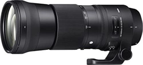 Zoom in on the Action: Sigma 150-600mm Contemporary Lens for Canon Cameras