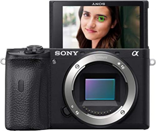 Brilliance with the Sony Alpha A6600 Mirrorless Camera